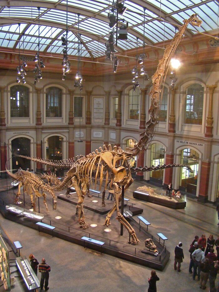 Desde el Megalosaurus hasta las aves modernas: celebrando 200 años de avances en la paleontología